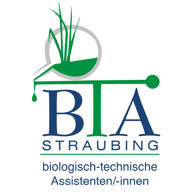 Logo von BTA-Schule Straubing